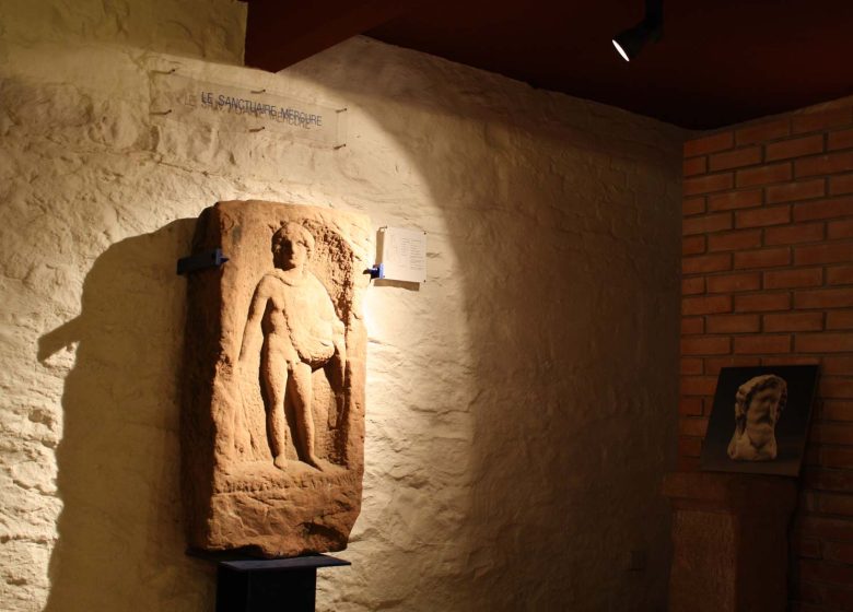 Maison de l’archéologie des Vosges du Nord